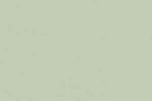 Линолеум Forbo Furniture Linoleum 4183 pistachio фото  | FLOORDEALER